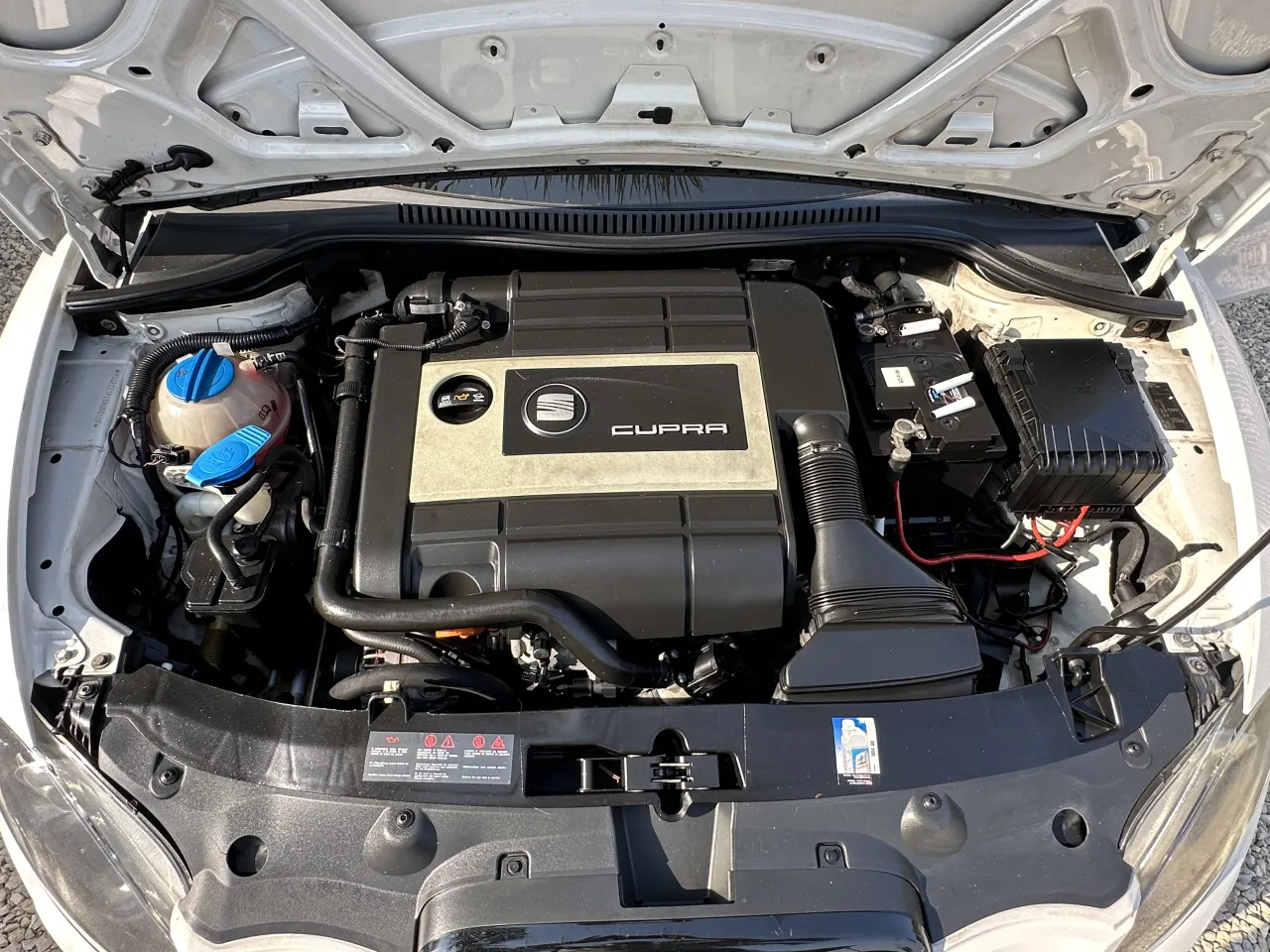 SEAT LEON CUPRA SEIXASCAR