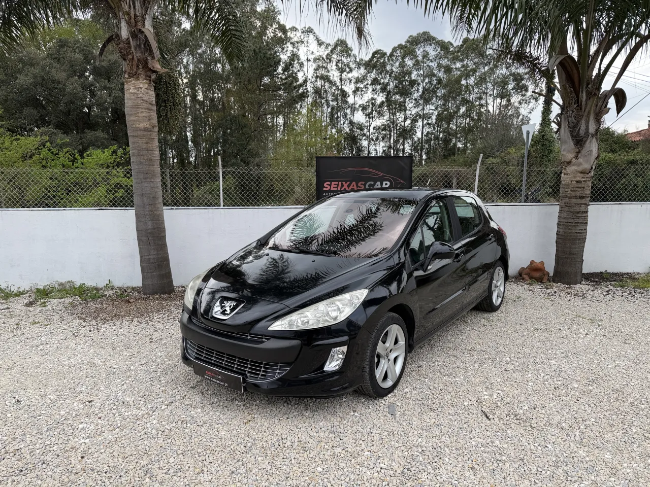 Tesla SEIXASCAR